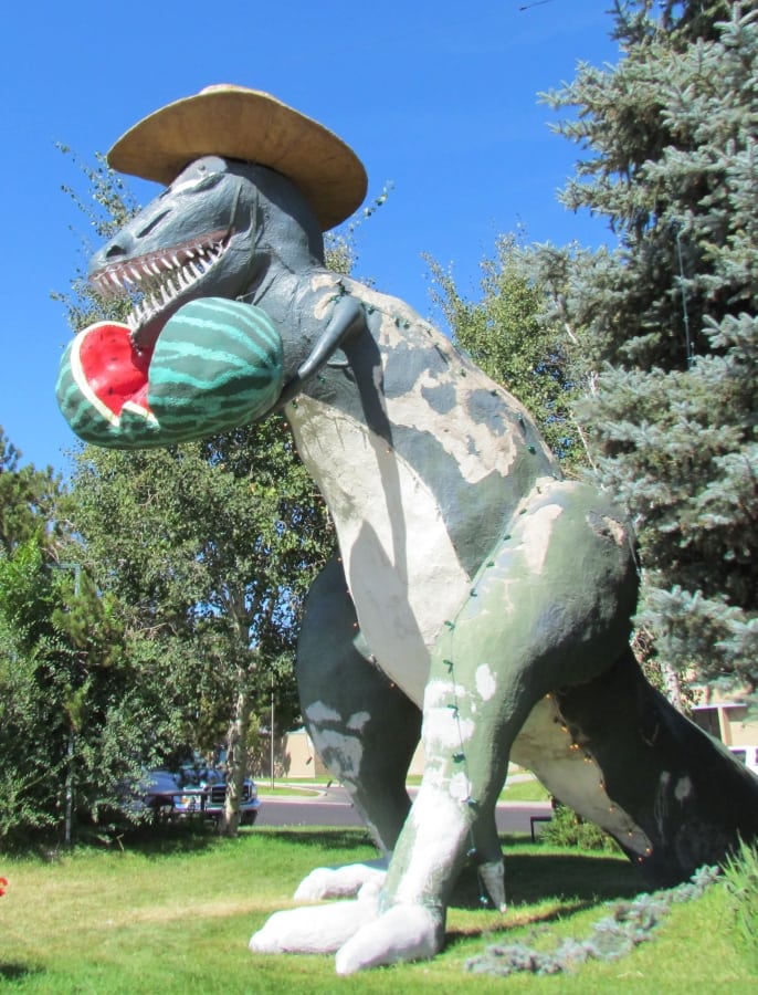 An oversized comical dinosaur statue is found in Colorado. The dinosaur is wearing a cowboy hat and eating a watermelon.