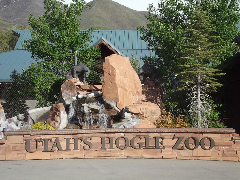 hogle zoo, zoo, salt lake city, utah, park, mountains, travel, tourist, animals, cats, apes, scenic