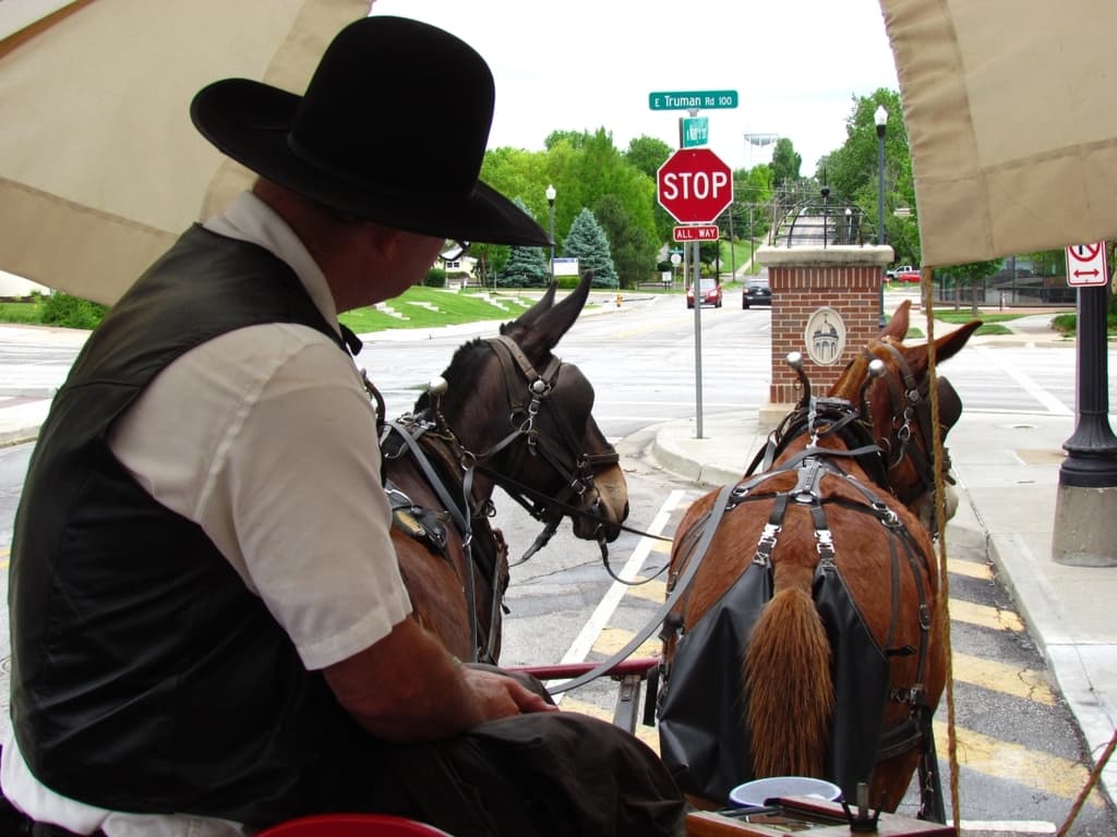 trail ride - Missouri mules - wagon ride - Independence Missouri - Harry Truman