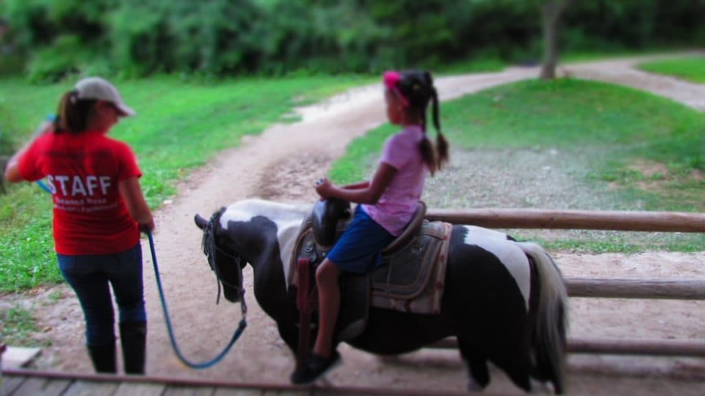 Granddaughter on a pony ride.