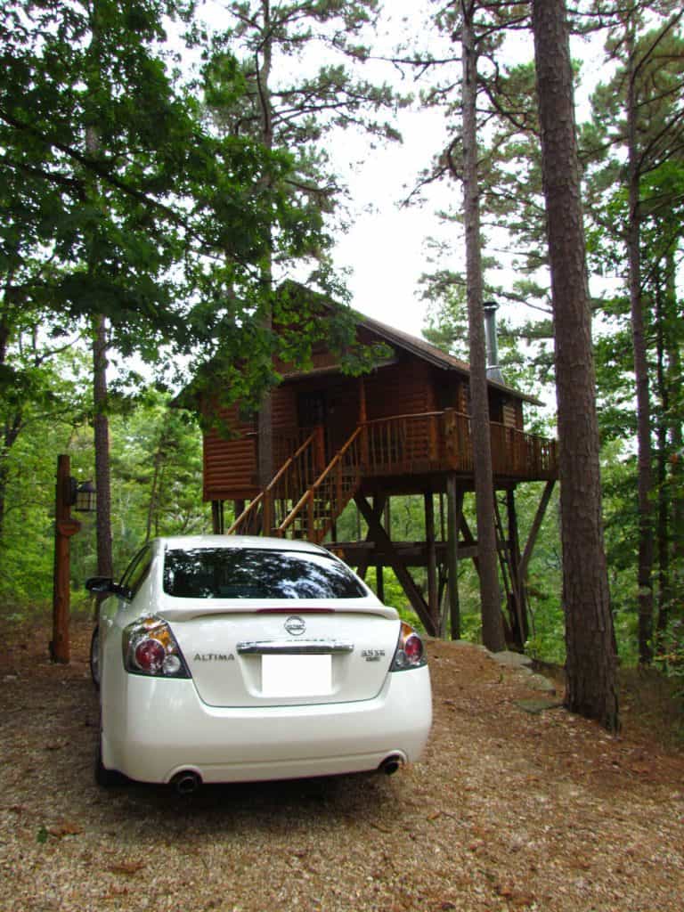 The Treehouse Cottages are cabins elevated above the forest floor. 