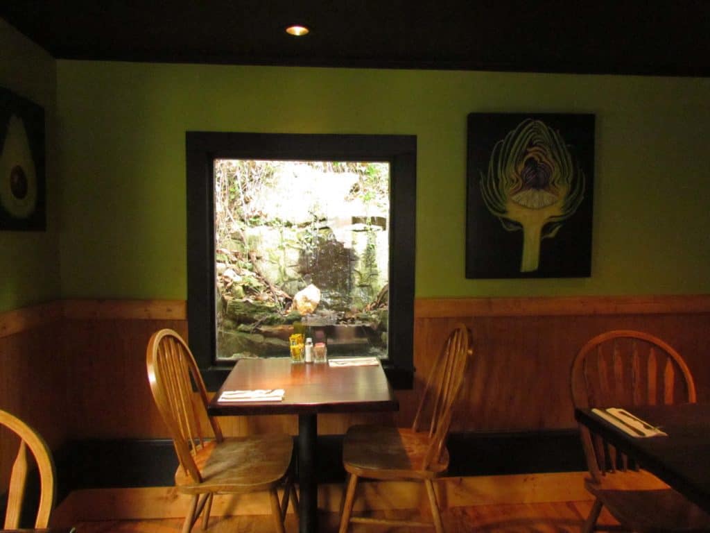 The interior of the Local Flavor cafe features views of a natural spring.
