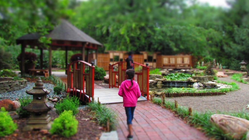 The Asian gardens are a serene place to relax and enjoy the sights.