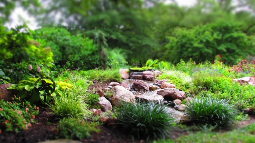 A calming water feature greets guests at Ward Meade Botanical Gardens,