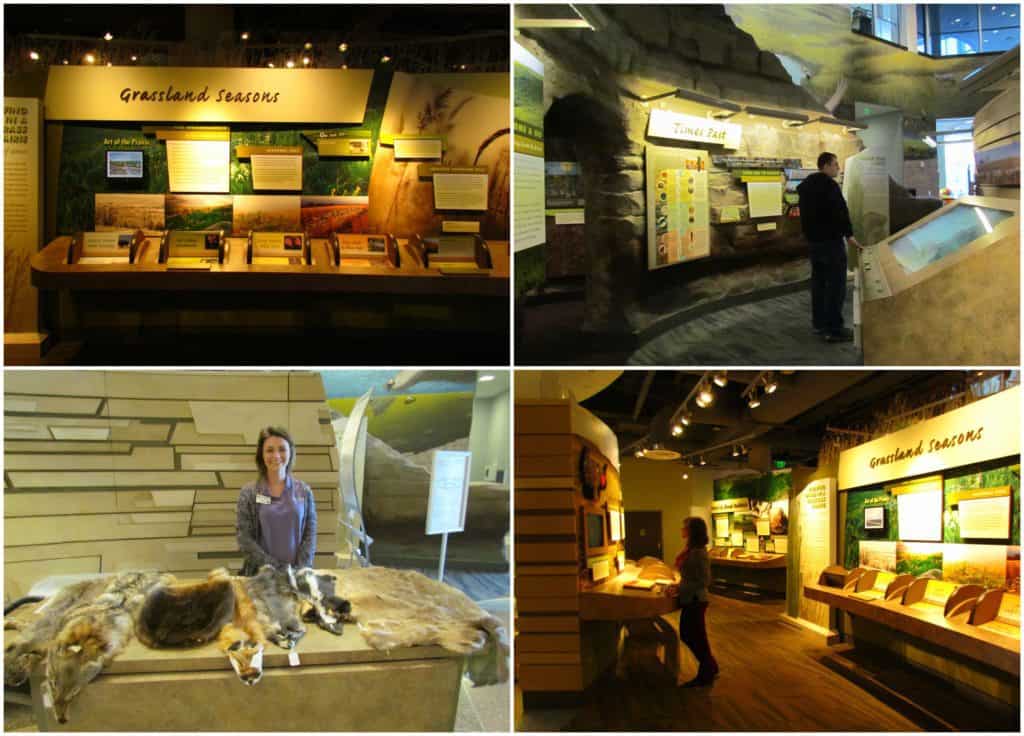 The displays are made to be interactive and draw visitors to engage.