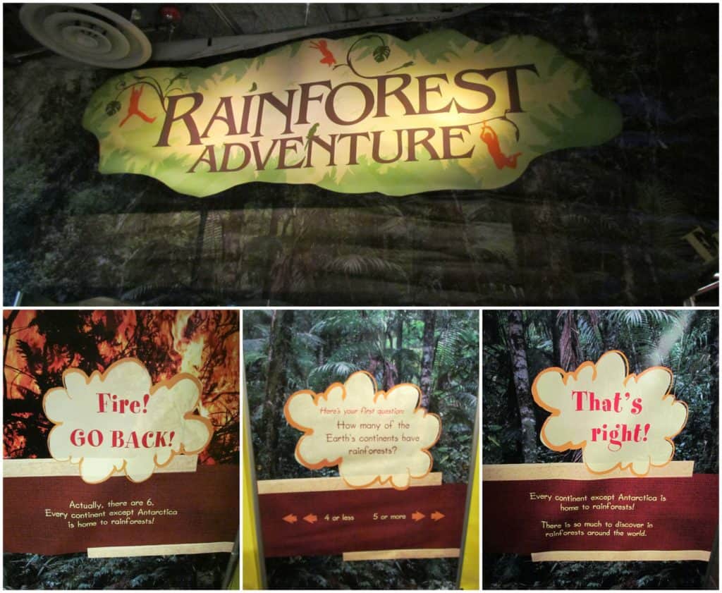 An area is dedicated to temporary rotating exhibits like the Rainforest Adventure that runs through April 2018.