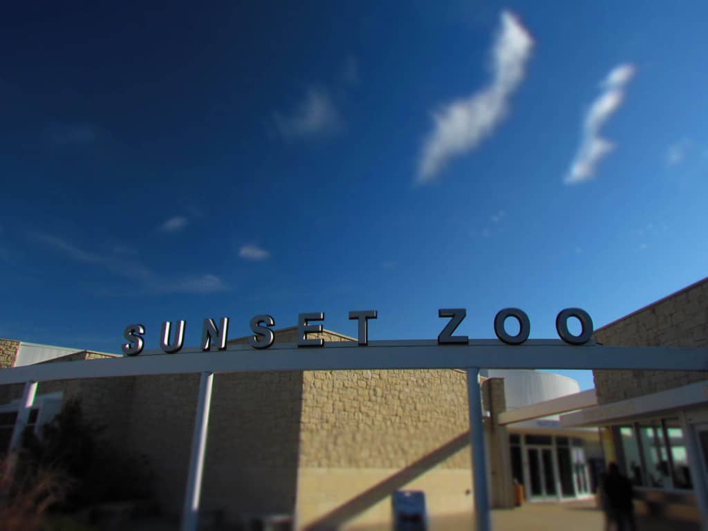 Sunset Zoo-Manhattan Kansas-zoo-park-animals-winter-sunshine