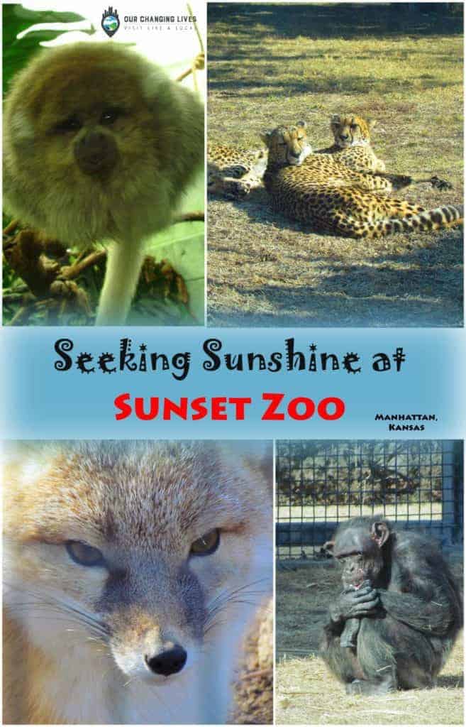 Sunset Zoo-Manhattan Kansas-zoo-park-animals-winter-sunshine