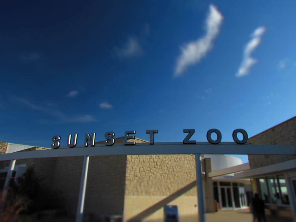 The Sunset Zoo is a small park in Manhattan, Kansas that offers visitors a chance to see a few animals.