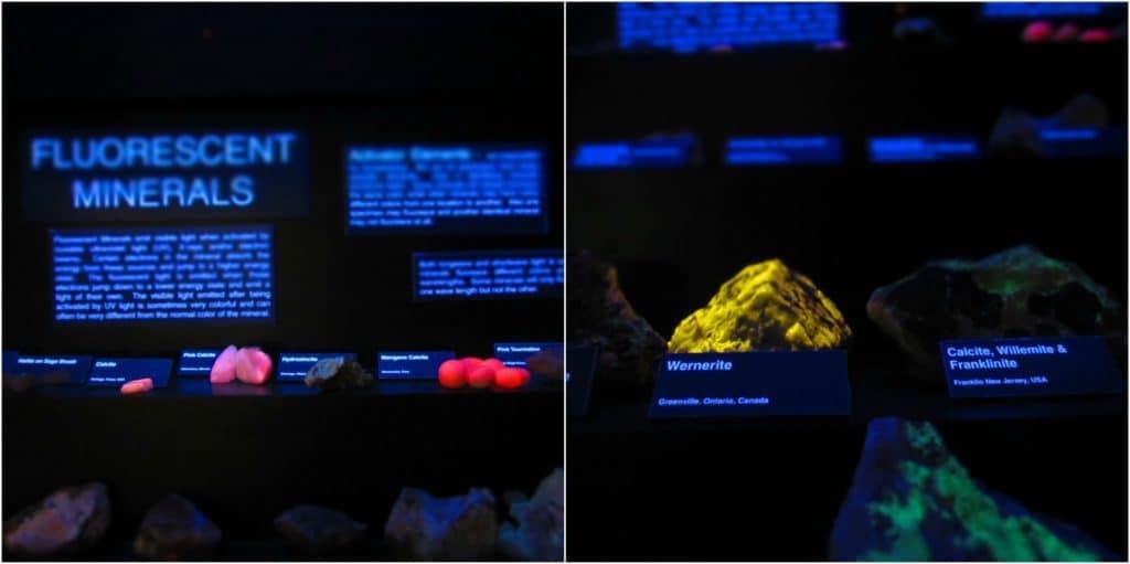 A display of fluorescent minerals is a favorite of visitors to the museum. 