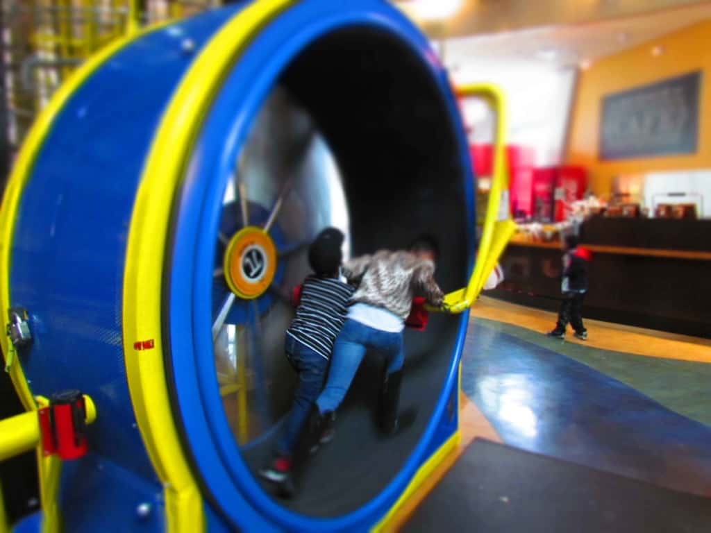 An oversize hamster wheel is popular with kids.