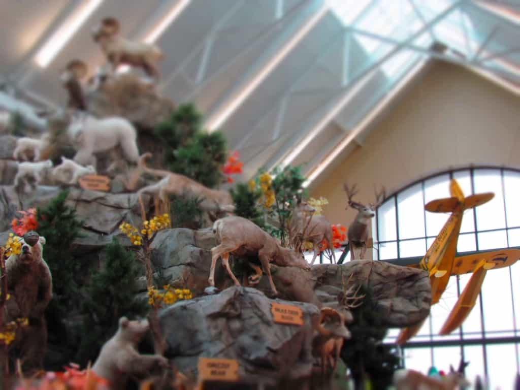 An artificial mountain is home to a variety of animal species in Scheels.