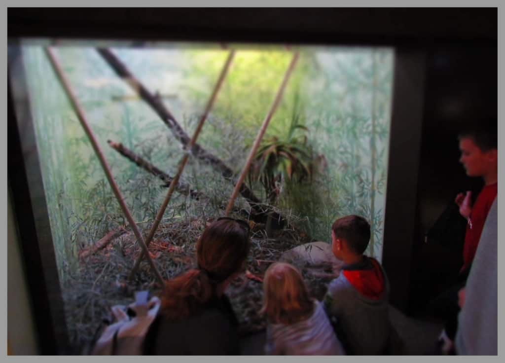 Families interact while observing the displays at the St. Louis Zoo.