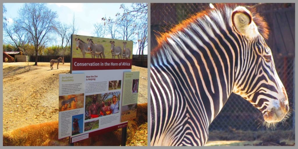 Conservation and ecosystem preservation are two topics taught at the zoo.