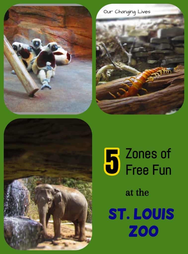 Saint Louis Zoo-St. Louis-zoological park-animals-mammals-travel-bloggers