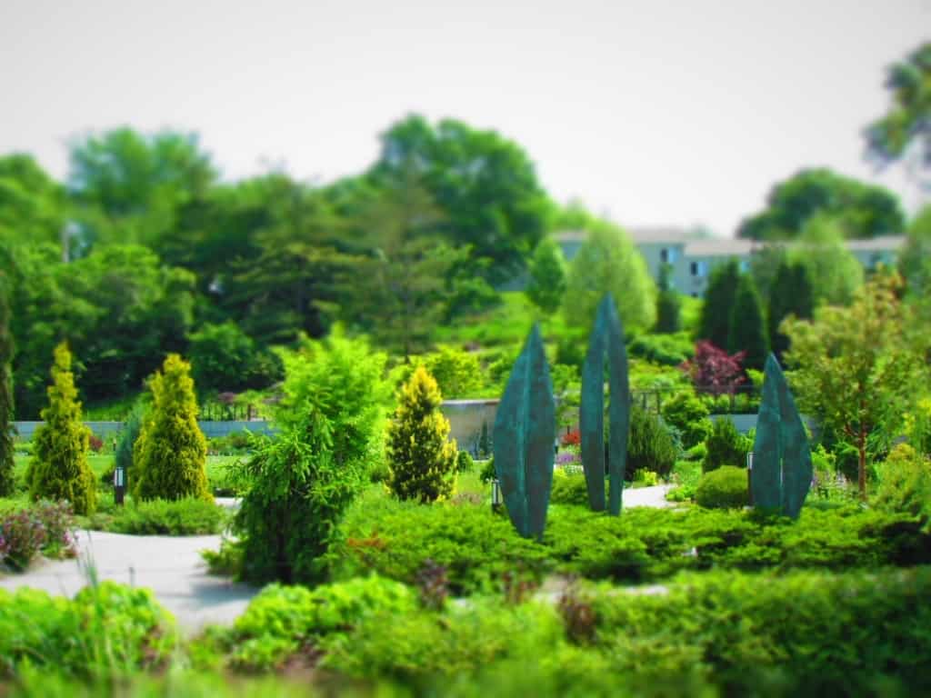 A conifer garden in the Des Moines Botanical Gardens offers lots of variations of textures and colors.