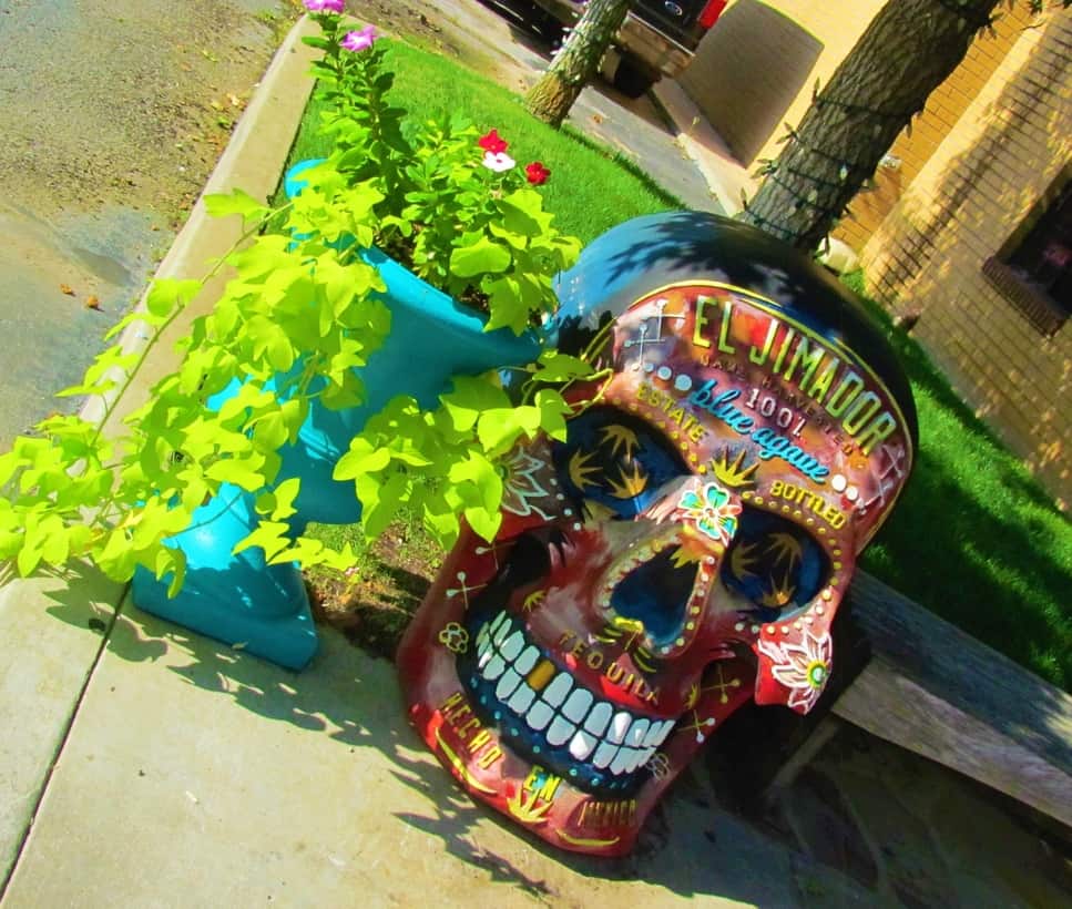A decorated skull marks the entrance to Iguana Restaurant in Oklahoma City.