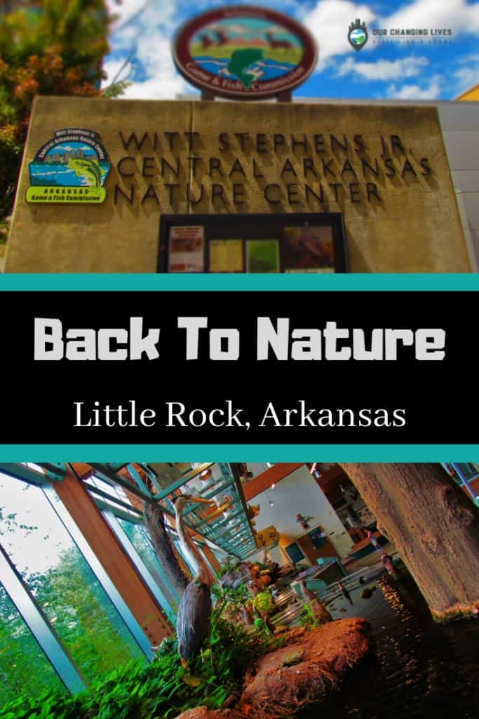 Central Arkansas Nature Center-animals- nature-ecosystems-fishing