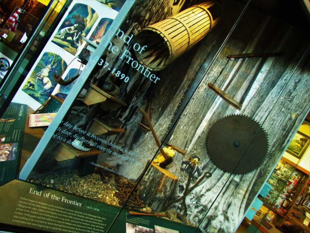 Various displays offer a historic lesson about wildlife in Arkansas.