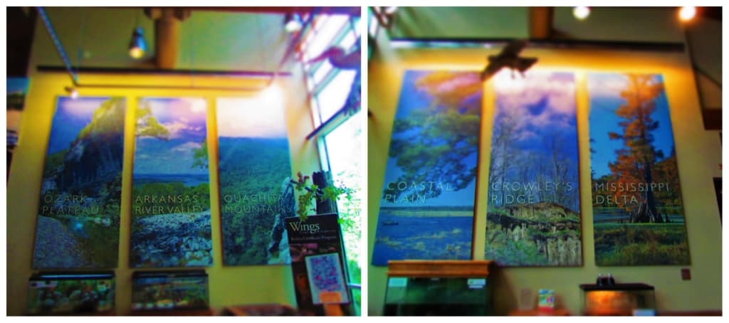 The six distinct regions of Arkansas are highlighted in the Central Arkansas Nature Center. 