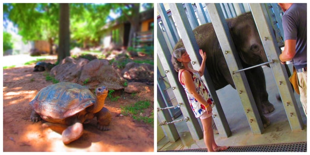 A visit to the Oklahoma City Zoo is filled with plenty of animal experiences.