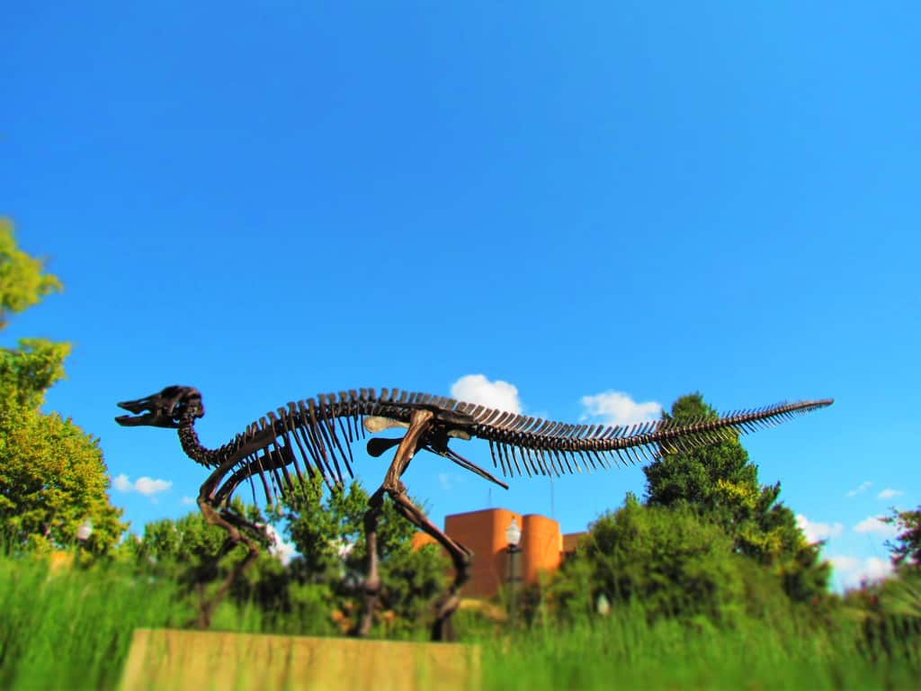 "Monty" the duck-billed dinosaur marks the entrance to the McClung Museum of Natural History.