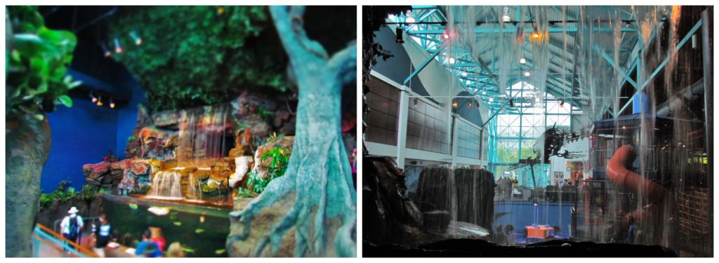 The interior of the Ripley's Aquarium of the Smokies is a picturesque setting for a leisurely visit.