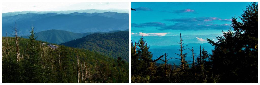 As we were climbing Clingmans Dome, we noticed the parking lot slowly fade into the distance.