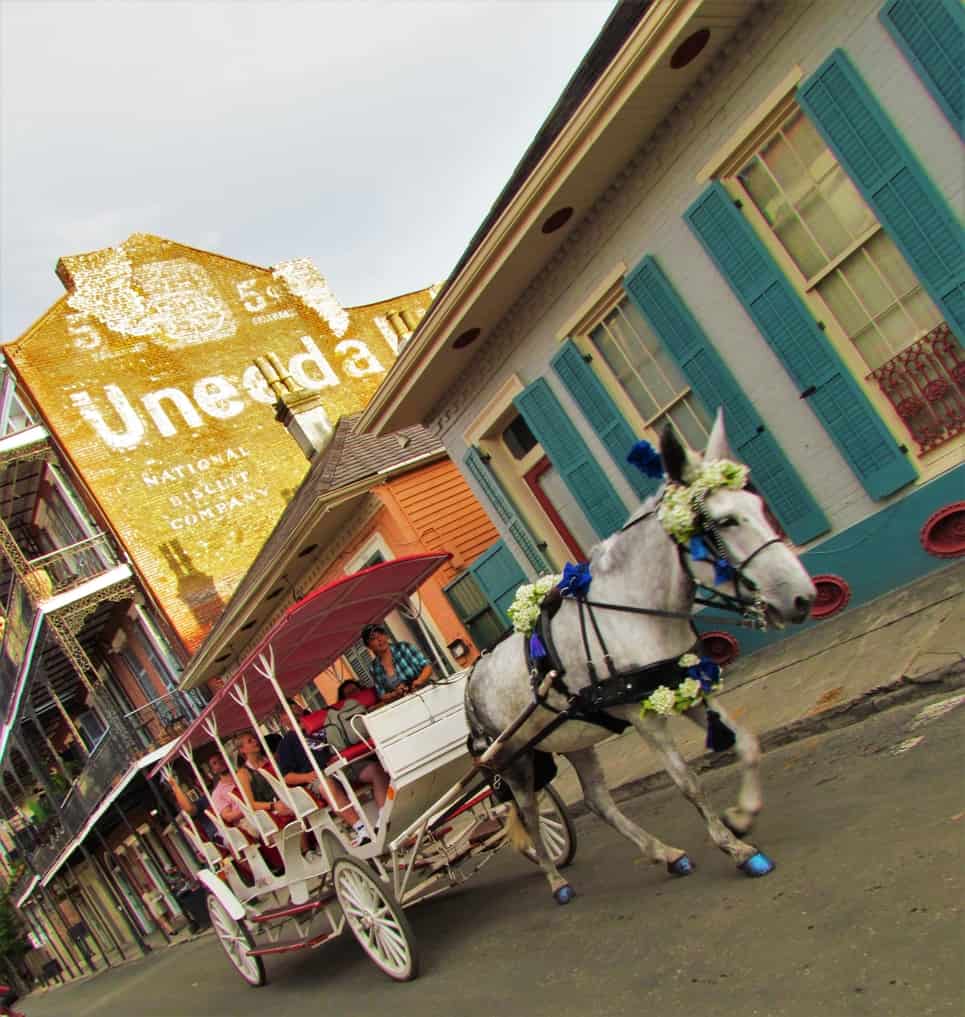 The French Quarter is a fun place to enjoy a carriage ride in a colorful wagon. 