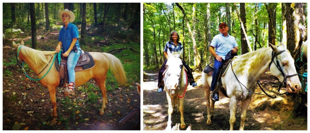 The authors enjoyed a personalized horseback tour inside Cades Cove. 