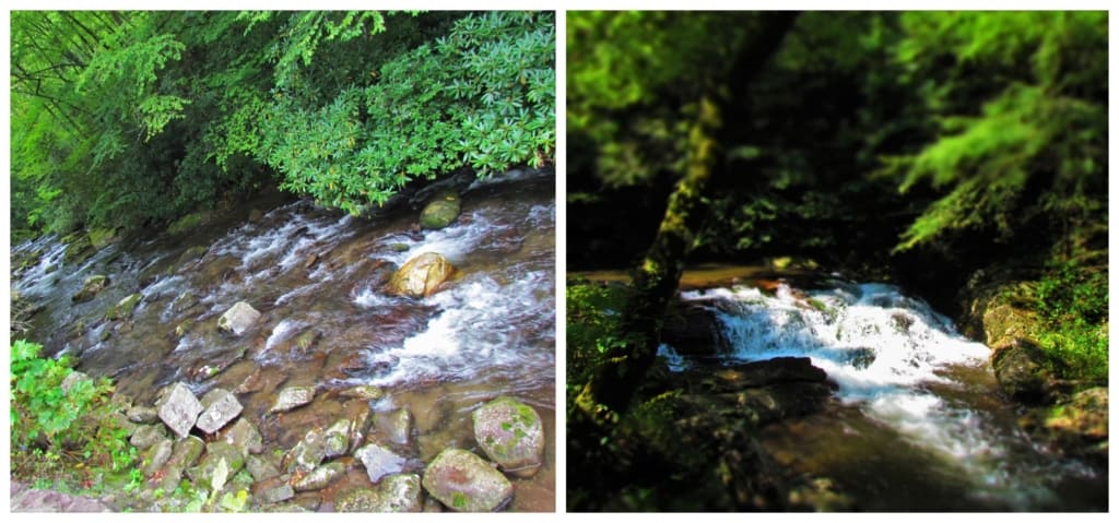 Visitors will see plenty of gentle streams cascading throughout the Great Smoky Mountain National Park. 