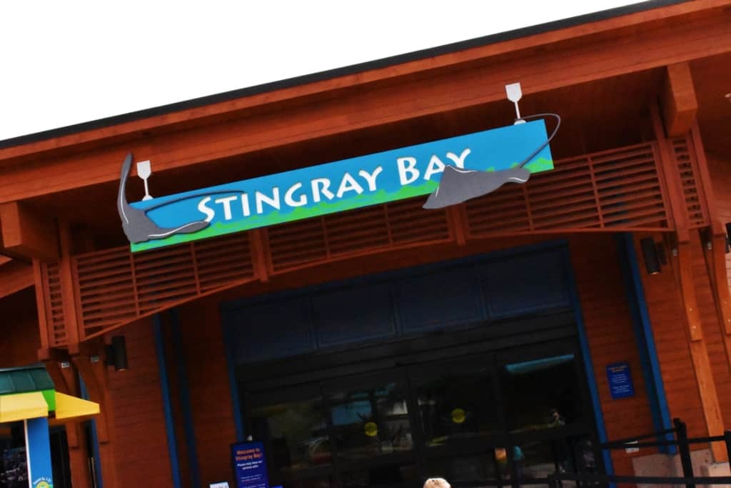 Stingray Bay is one of the newest exhibits at the Kansas City Zoo.