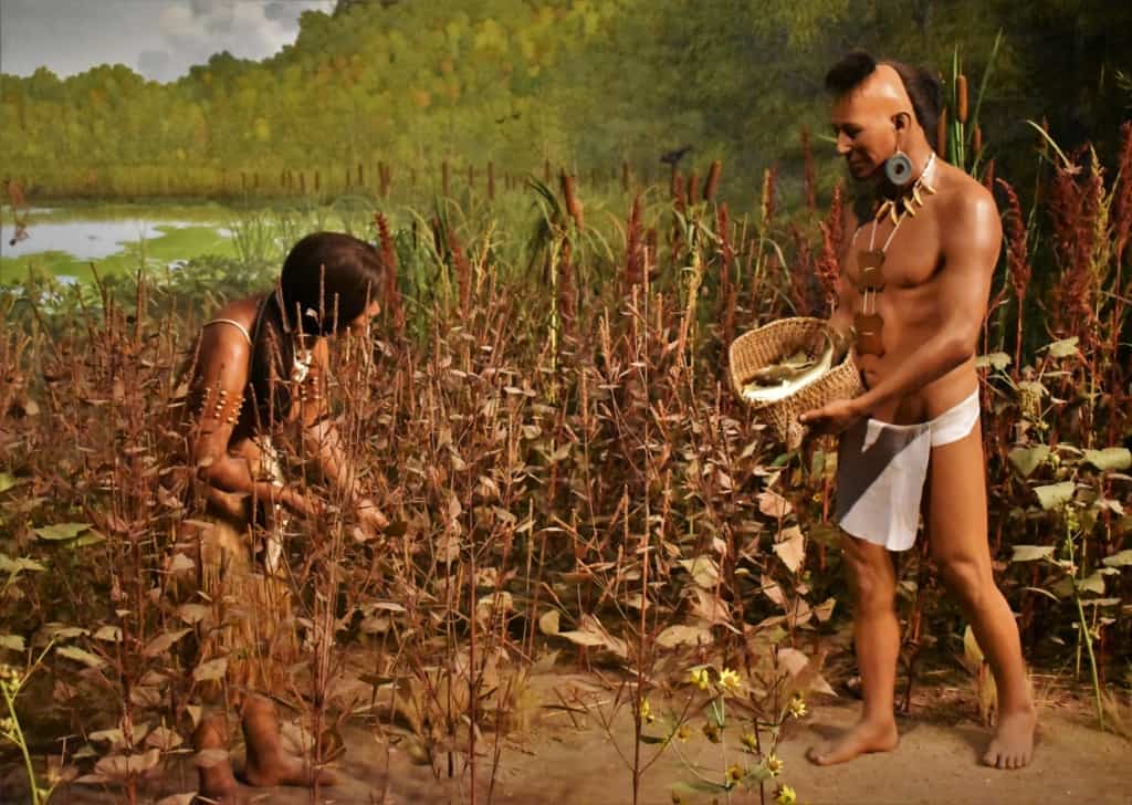 The native indians learned to live in harmony with the land and found all they needed in the fields and lakes nearby.