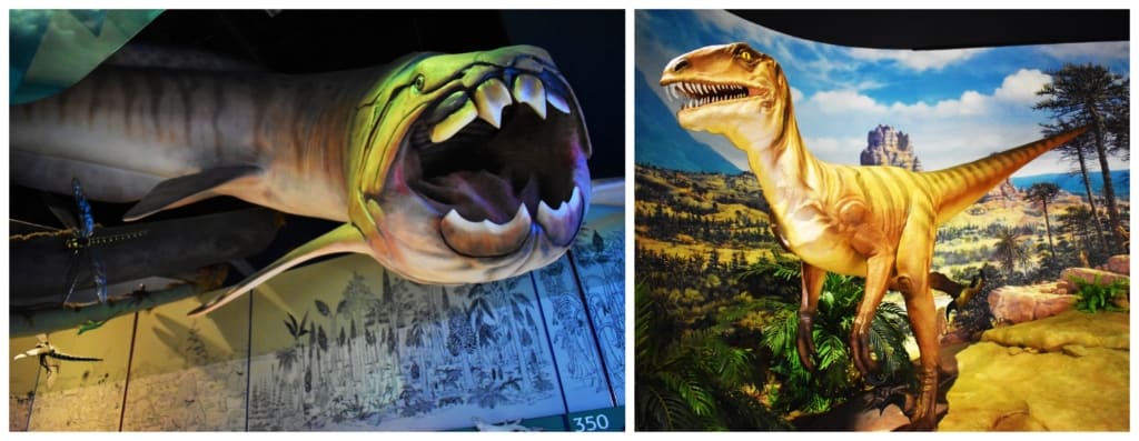 Models of creatures that roamed the region in prehistoric days can be found at the Kenosha Public Museum. 