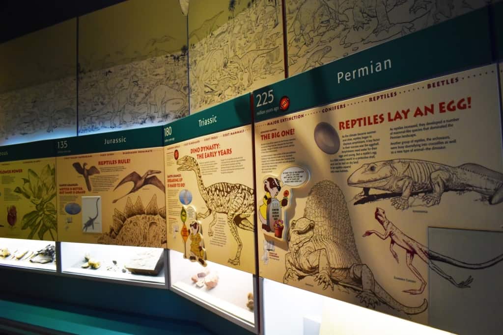 Traveling through time is made easier with the timeline of prehistoric times.