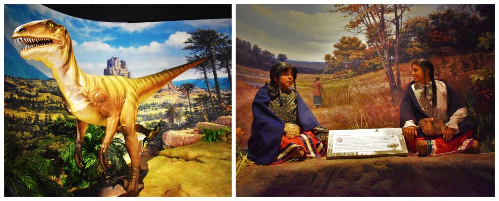 The Kenosha Public Museum continues the story with the history from prehistoric ages up to the native indians. 