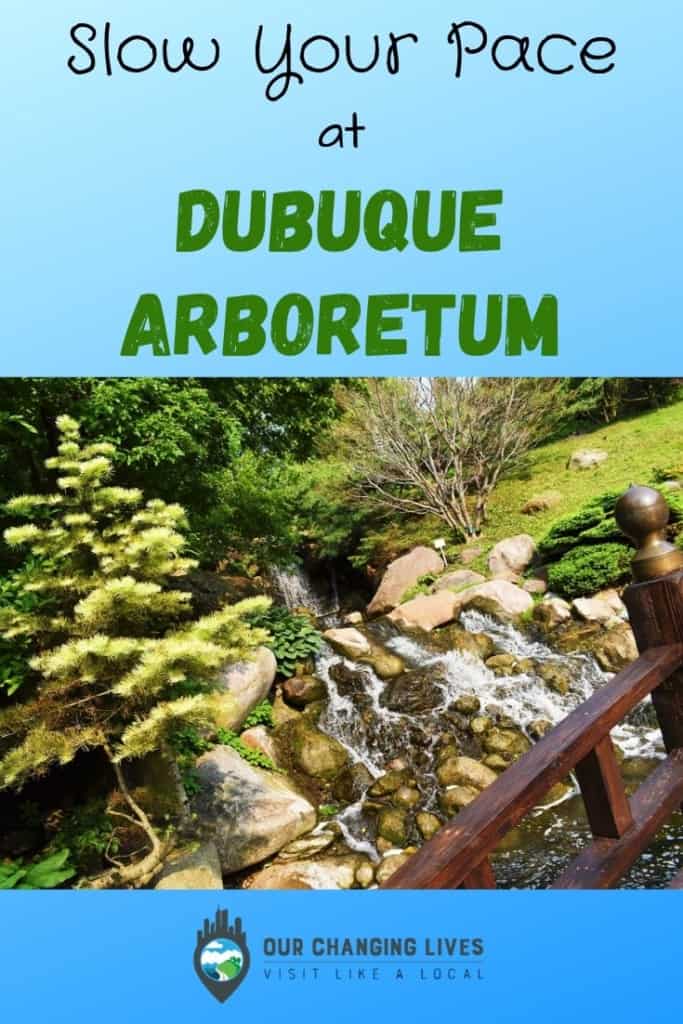 Slow your pace-Dubuque Arboretum-gardens-flowers-cactus-Japanese garden-waterfall-Dubuque Iowa