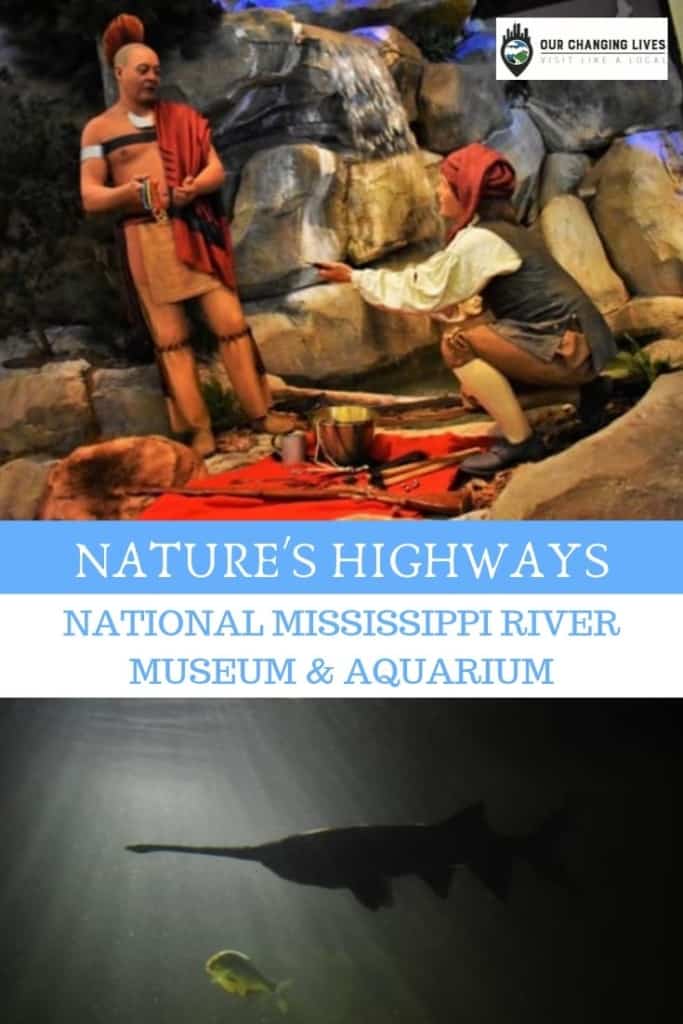 Nature's Highways-National Mississippi River Museum and Aquarium-rivers-animals-fish-traders-native Indians