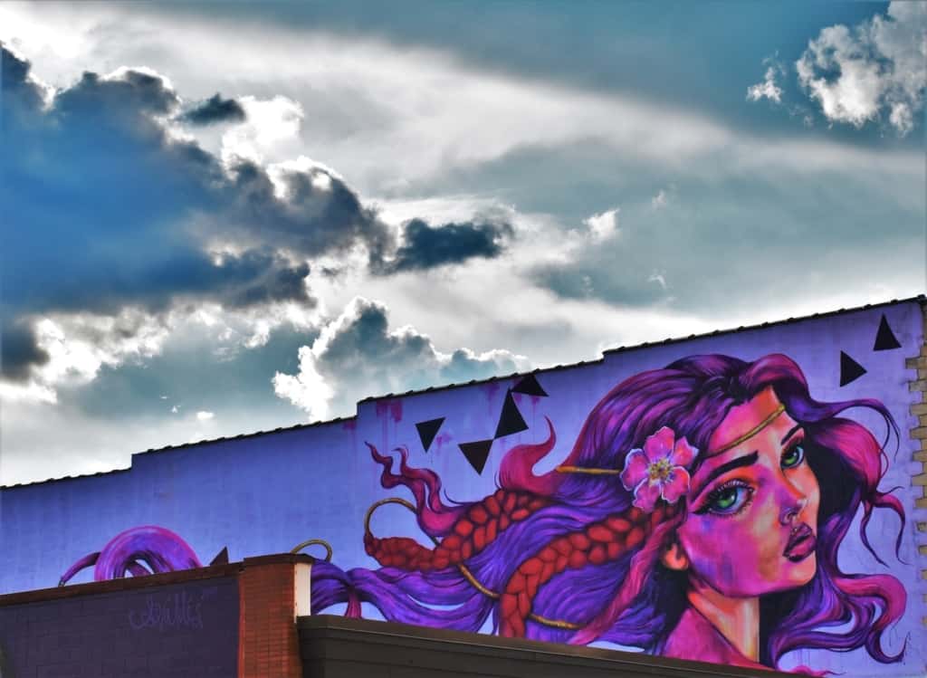 A visit downtown will allow you to discover Dubuque has a variety of murals.