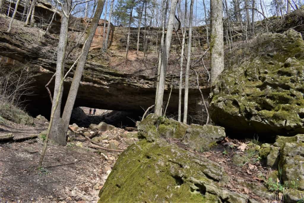 The view from the sinkhole that is found once you pass under the natural bridge in ha ha Tonka State Park. 