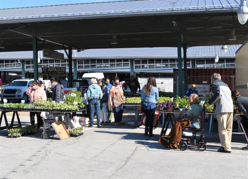 A sunny day draws shoppers to City Market, as they enjoy the loosening of the lockdown.