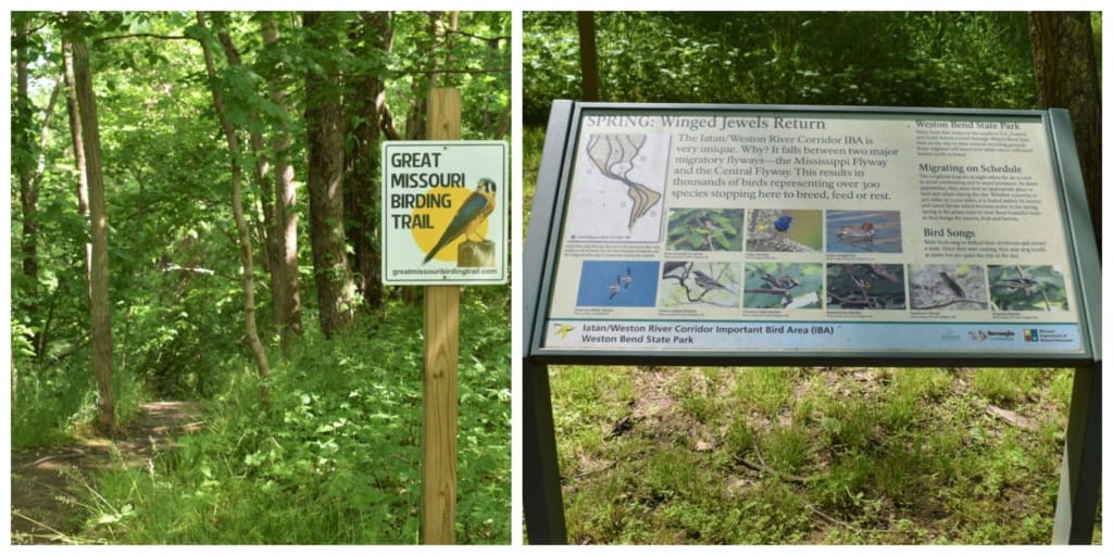 Visitors can get back to nature as they do some bird watching during a hike. 