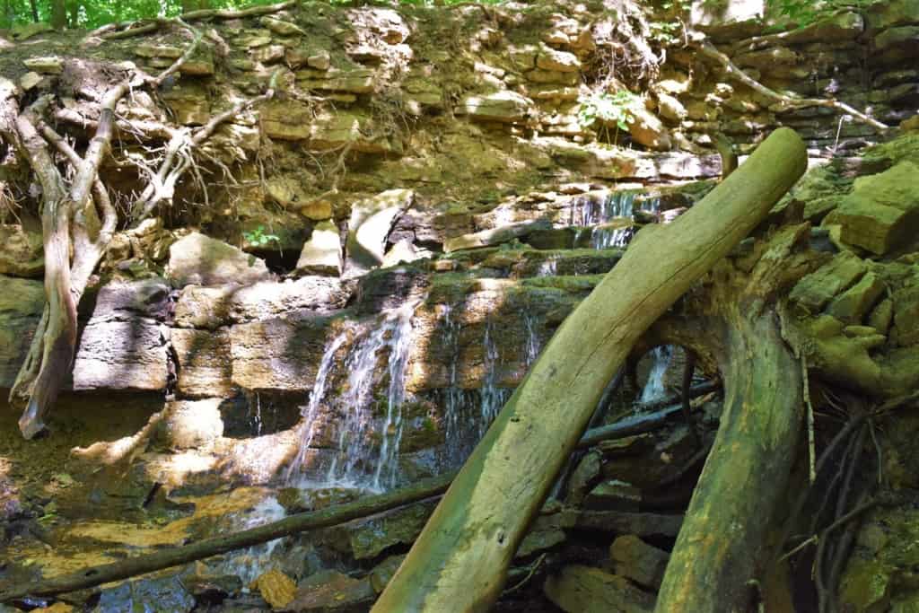 A small waterfall fills the surrounding area with the sounds of running water. 