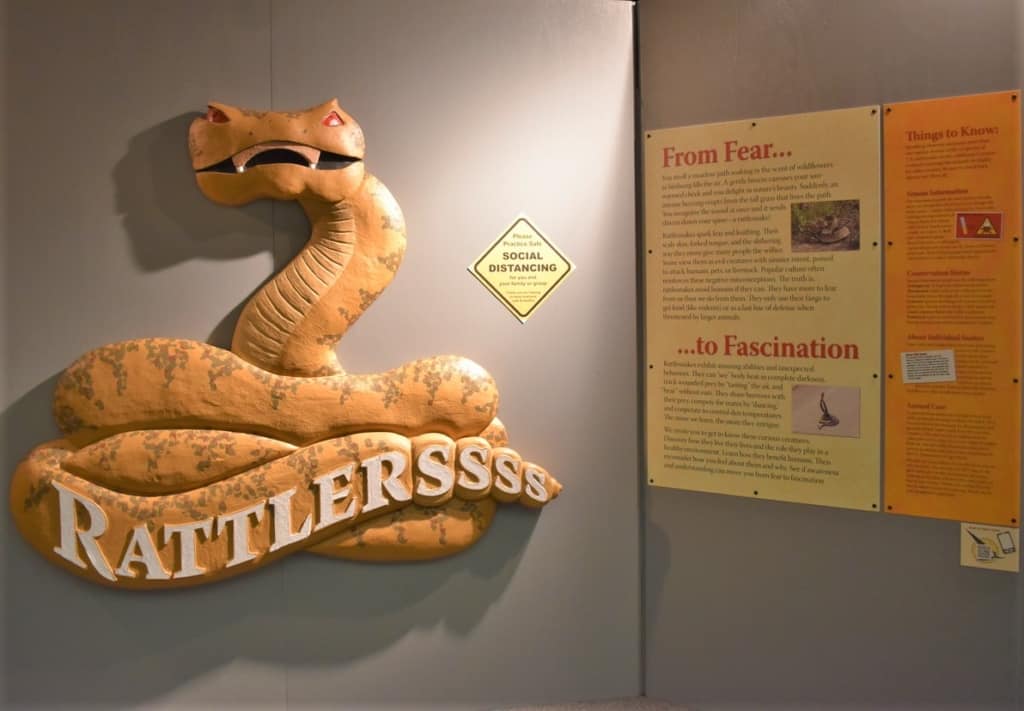 Traveling exhibits give visitors a change of pace when revisiting a museum. 