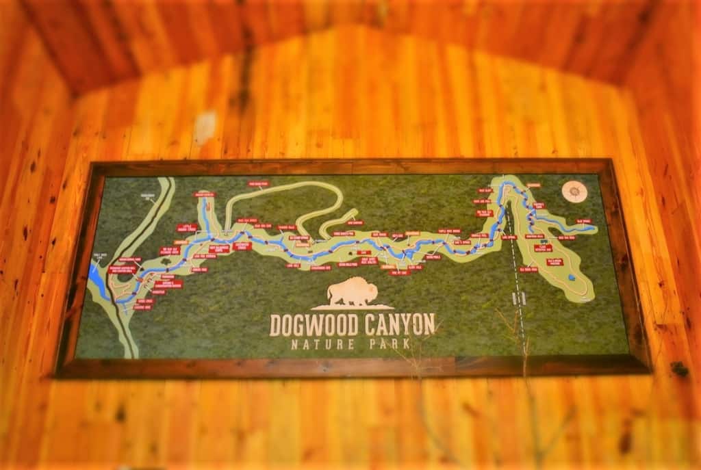 An oversized map shows the path visitors can take as they explore Dogwood Canyon. 