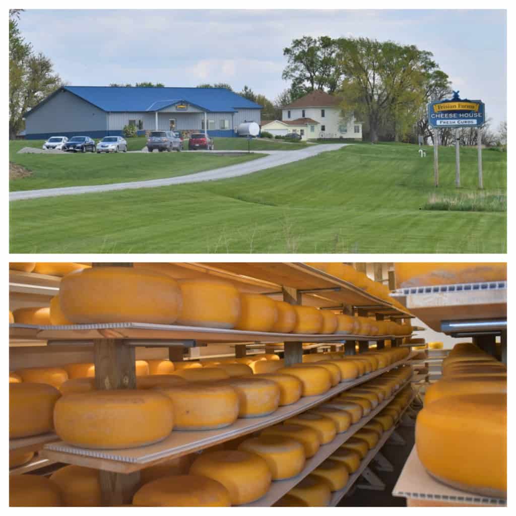 At Frisian Farms we collected a nice selection of Gouda cheeses. 