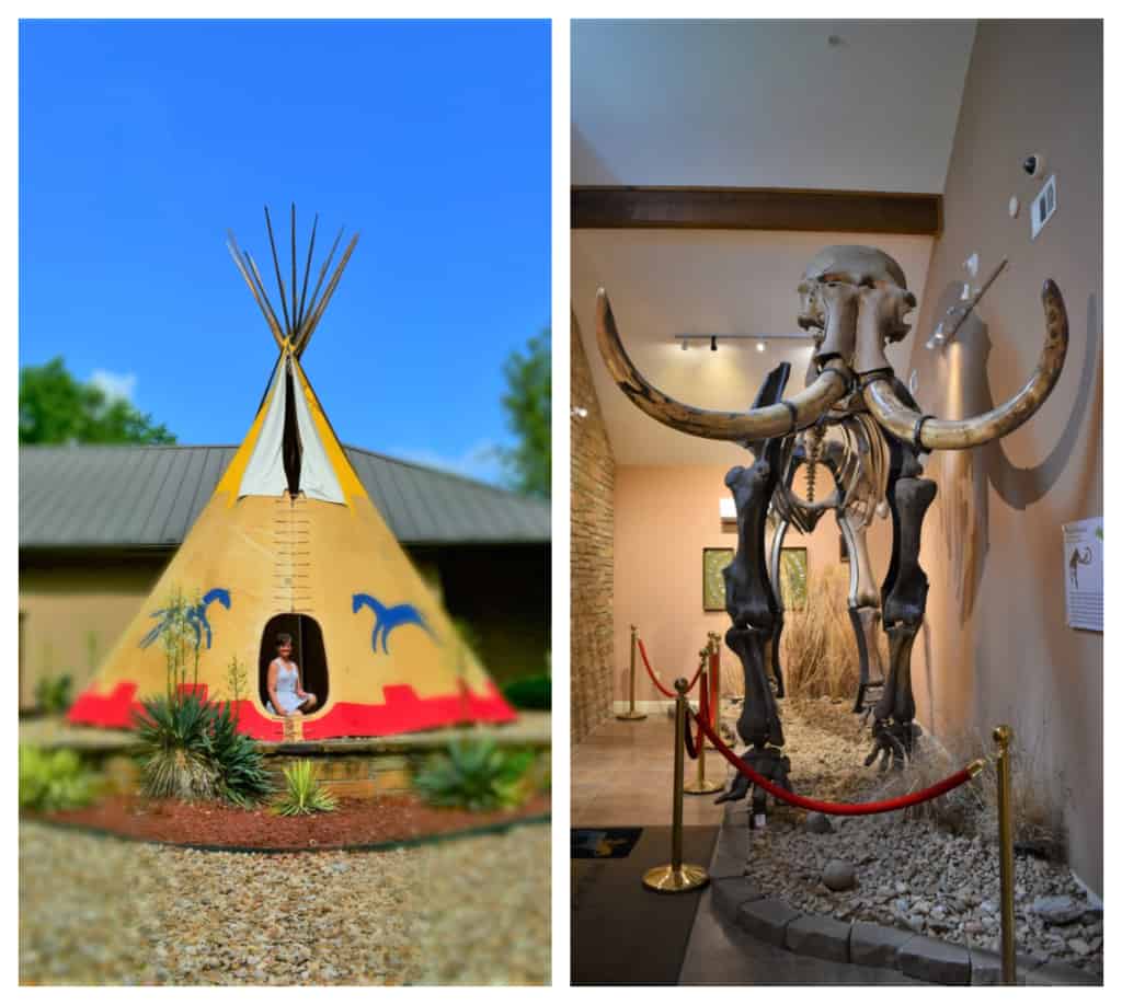The use of notable artifacts makes a visit to the Museum of Native American History an easy way of facing the past. 