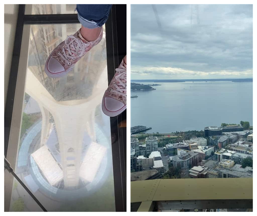 Views from the Space Needle. 