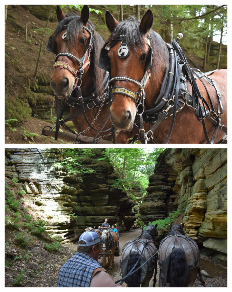 Lost Canyon Tours slows down the experience so that you can get a better look at the geological features of Wisconsin Dells. 