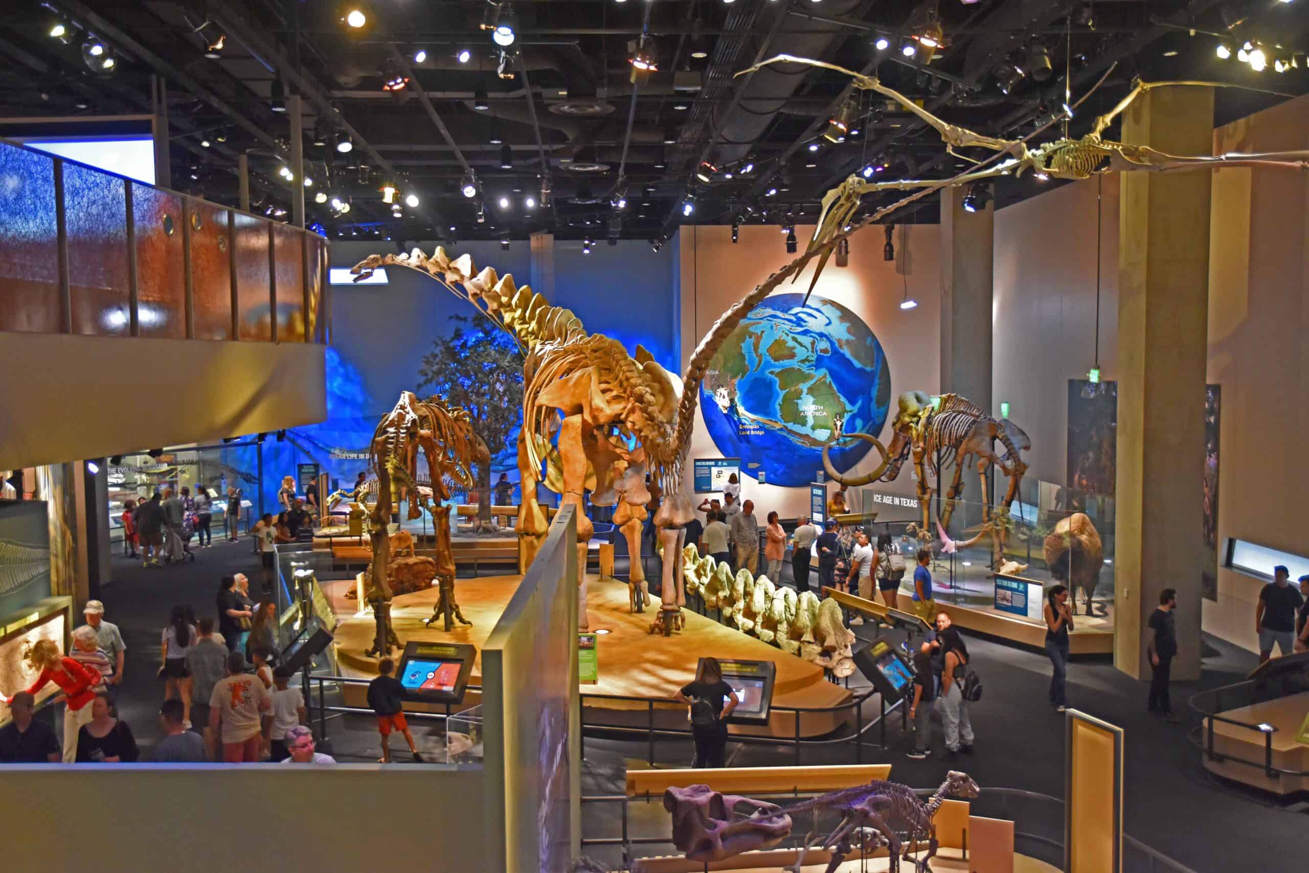 The Pirot Museum has an amazing dinosaur exhibit.